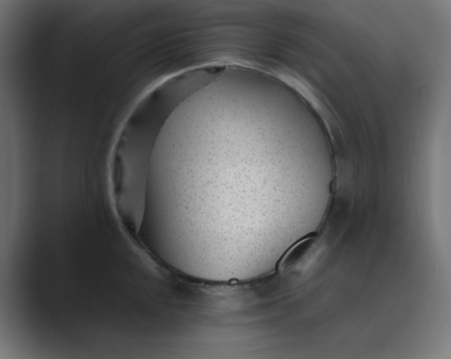 X0000089451048200706291440