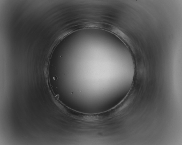 X0000089451049200706291440