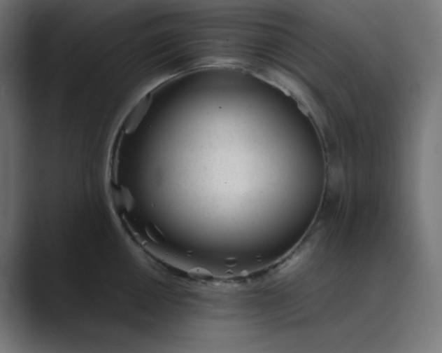 X0000089451050200706291440