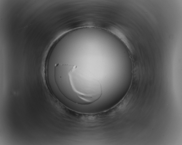 X0000089451051200706291440