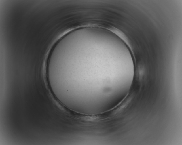 X0000089451053200706291440