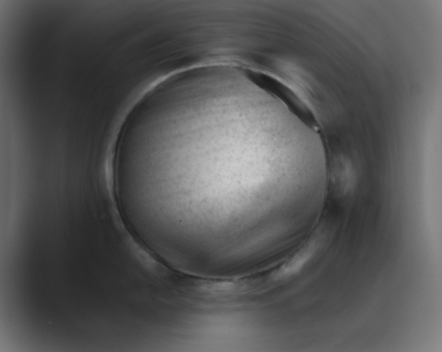 X0000089451054200706291440