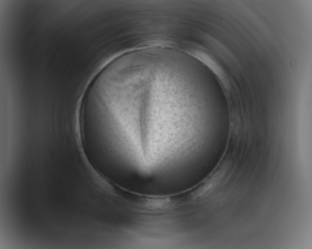 X0000089451055200706291440