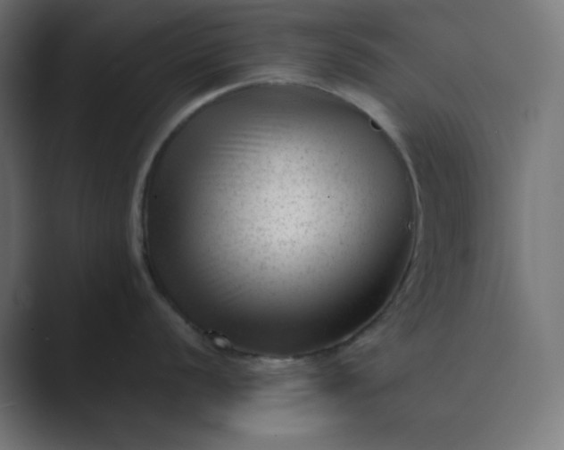 X0000089451056200706291440