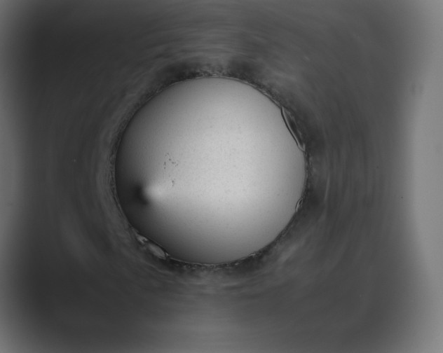 X0000089451057200706291439