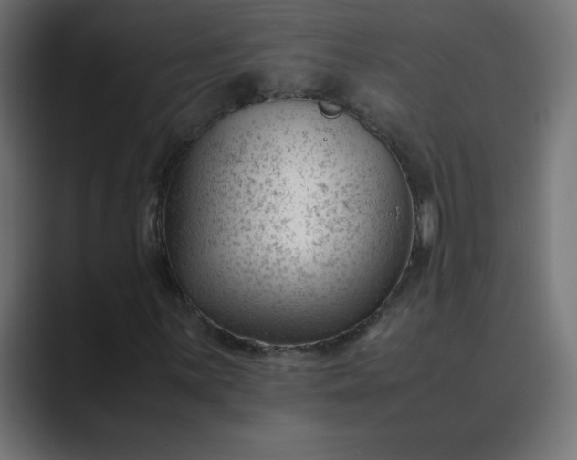 X0000089451059200706291439