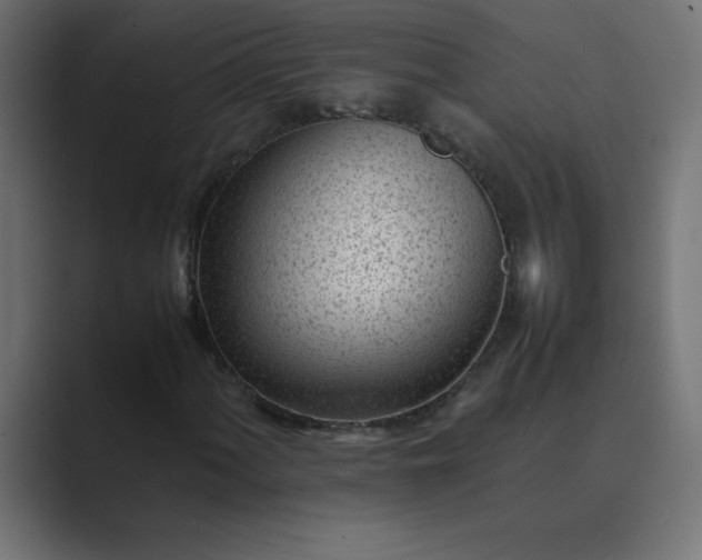 X0000089451060200706291439