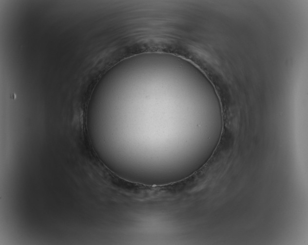X0000089451061200706291439