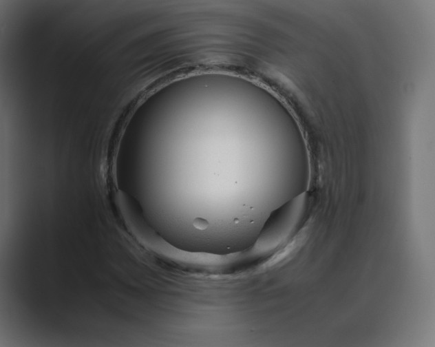 X0000089451065200706291439