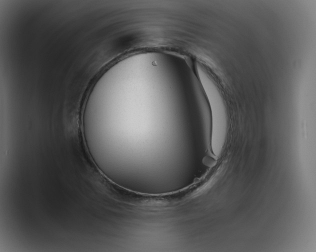 X0000089451073200706291439