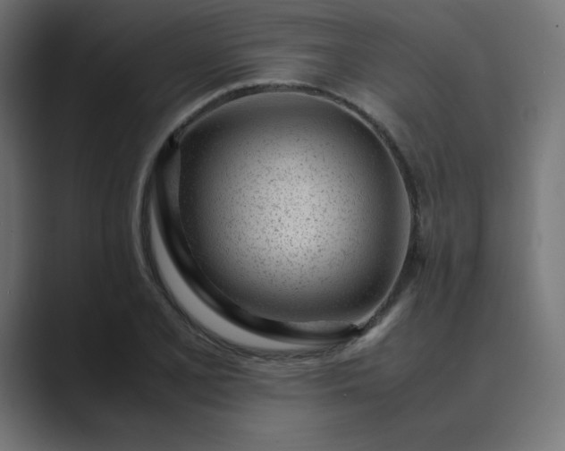 X0000089451077200706291439