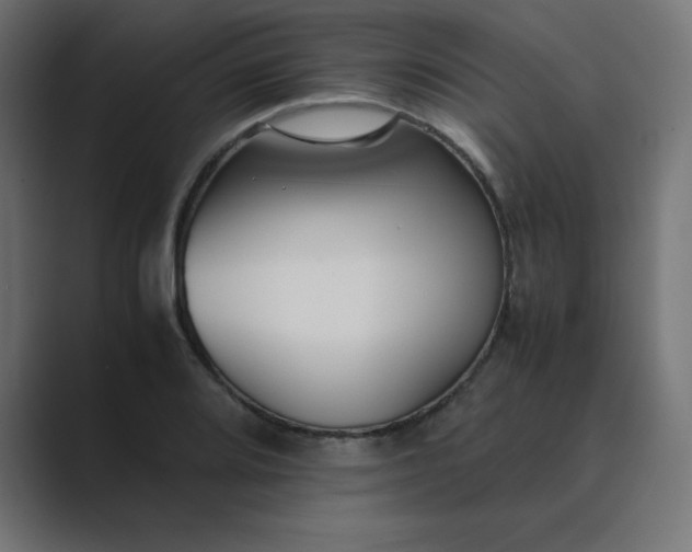 X0000089451080200706291439