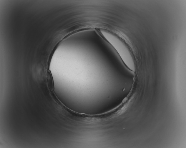X0000089451081200706291439