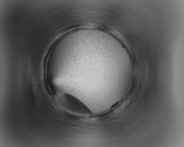 X0000089451083200706291439