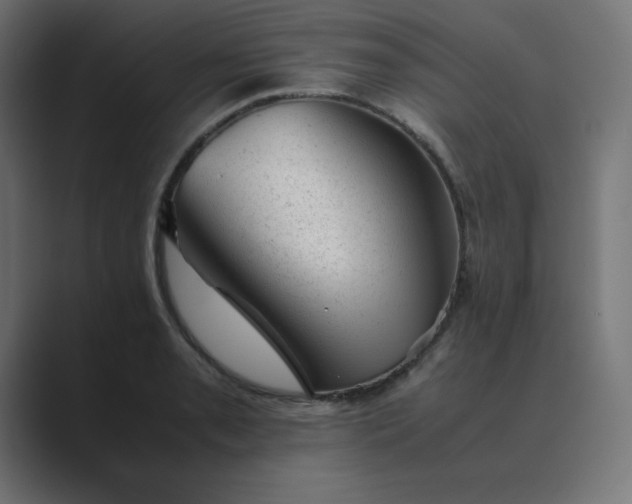 X0000089451085200706291439