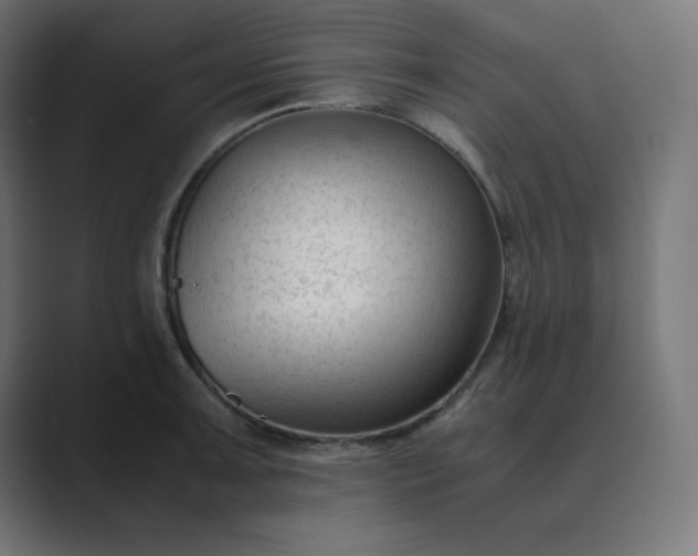 X0000089451091200706291439