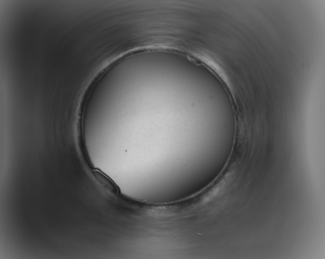 X0000089451093200706291439