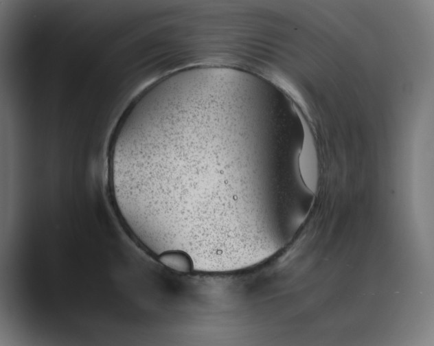 X0000089451095200706291439