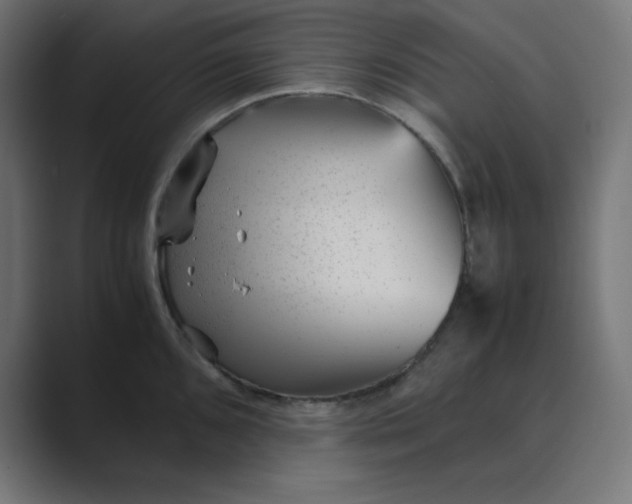 X0000089451096200706291439