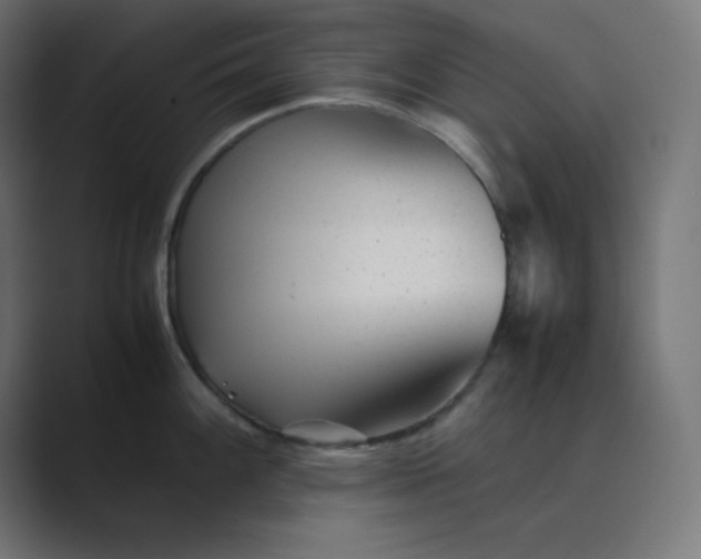 X0000089451100200706291439