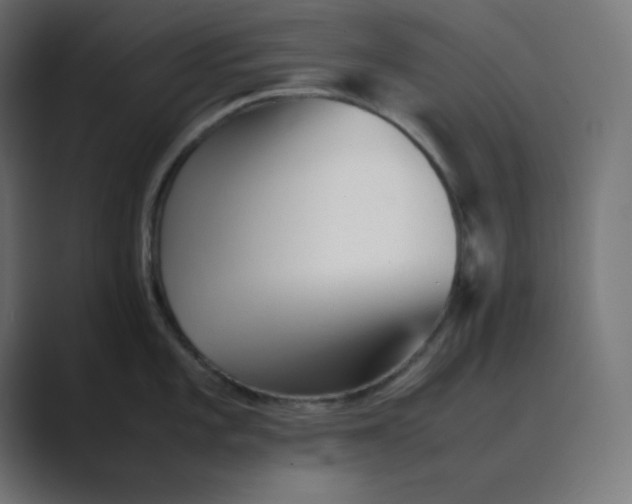 X0000089451101200706291439