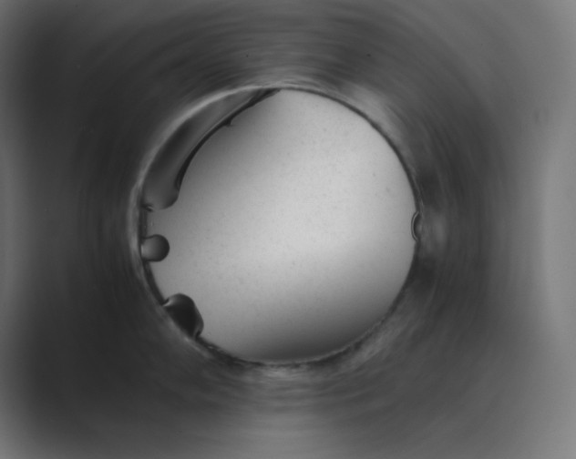 X0000089451102200706291439
