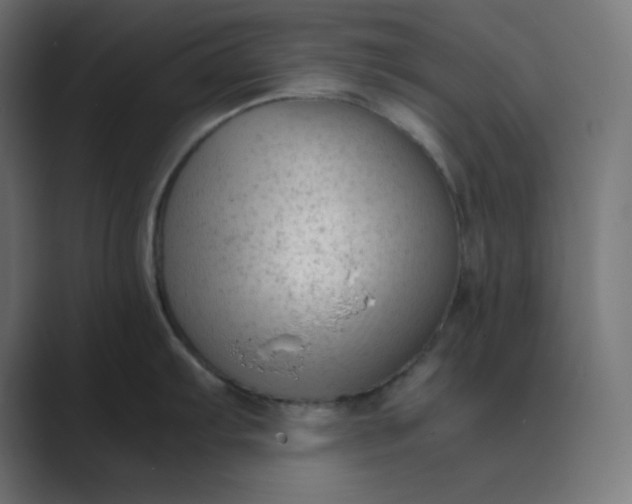 X0000089451103200706291439