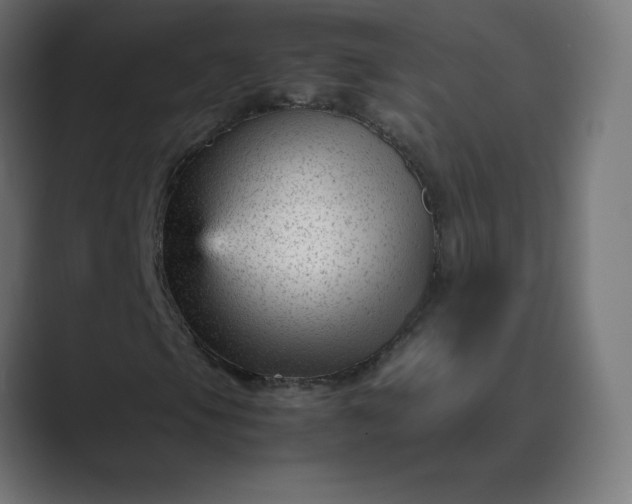 X0000089451105200706291438