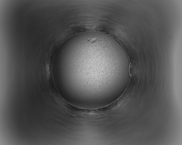 X0000089451106200706291438