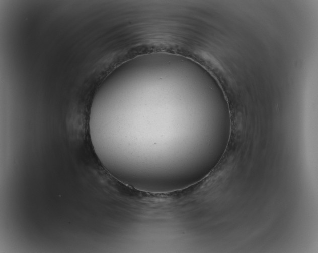X0000089451110200706291438