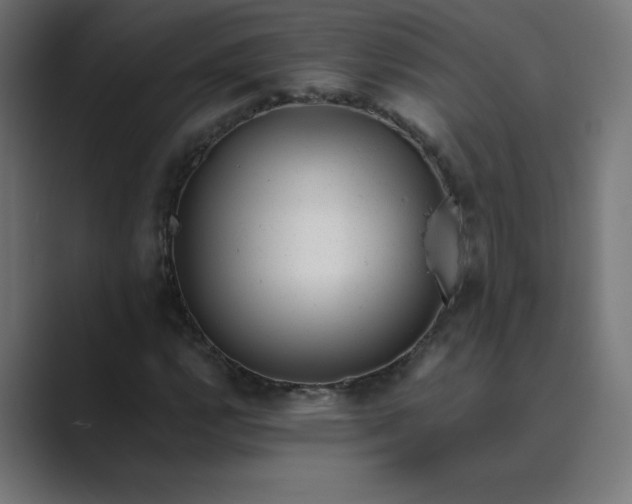 X0000089451112200706291438