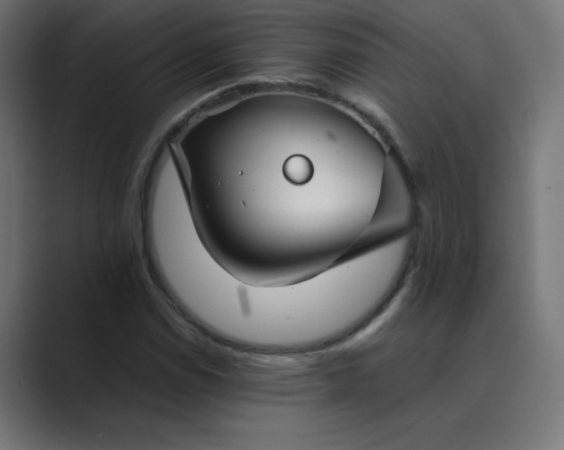 X0000089451114200706291438