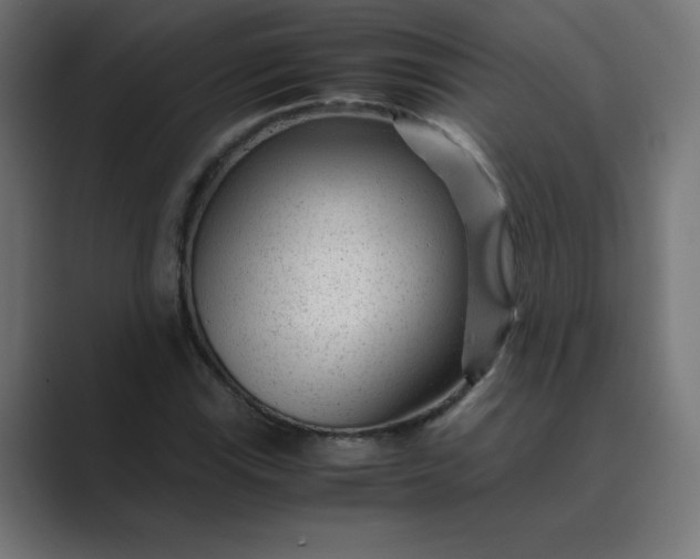 X0000089451115200706291438