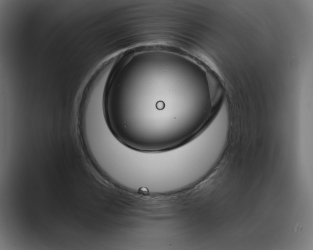 X0000089451116200706291438