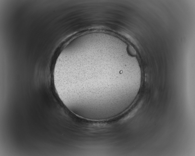X0000089451117200706291438
