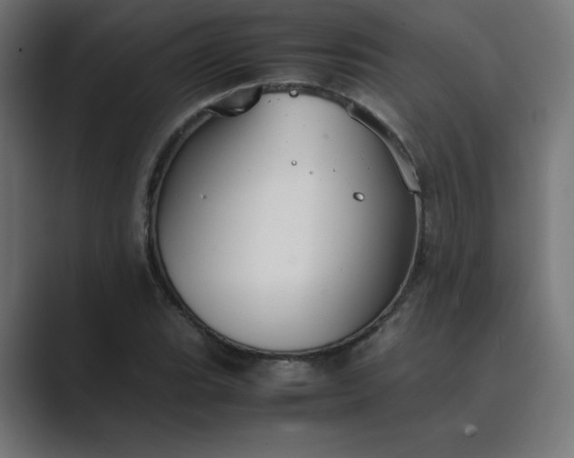 X0000089451119200706291438