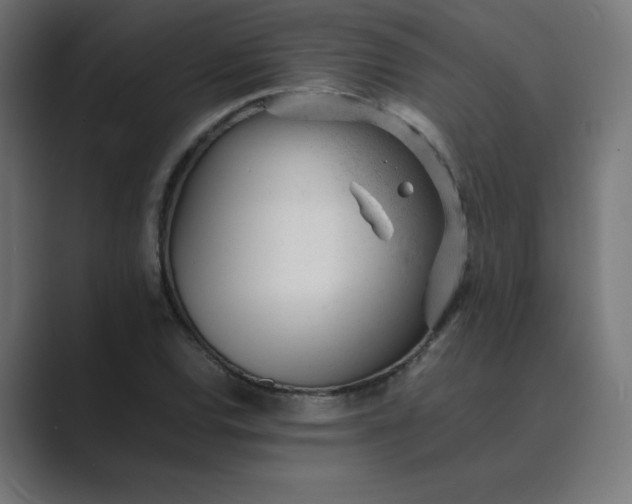 X0000089451120200706291438