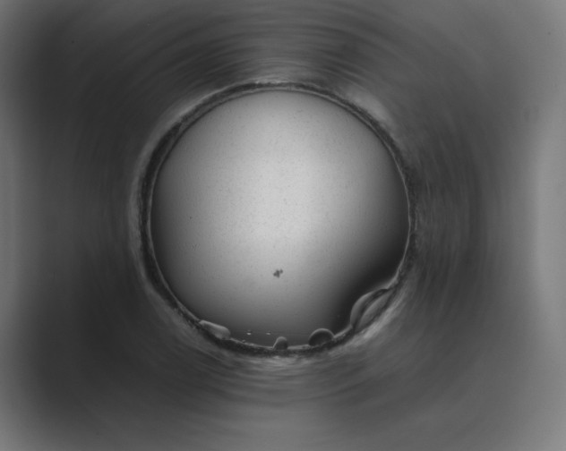 X0000089451122200706291438