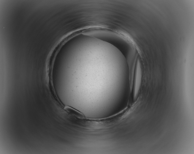 X0000089451124200706291438