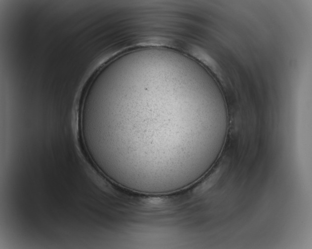 X0000089451130200706291438