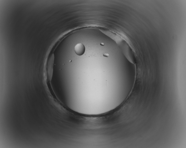 X0000089451132200706291438