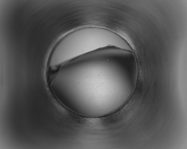 X0000089451136200706291438