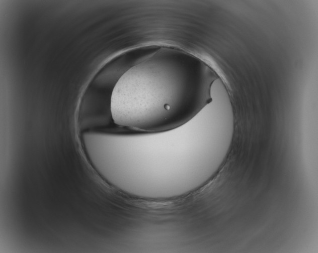 X0000089451140200706291438