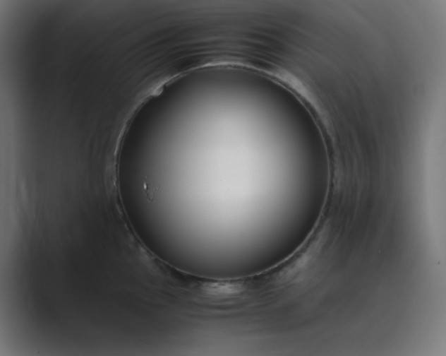 X0000089451145200706291438