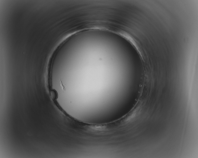 X0000089451147200706291438