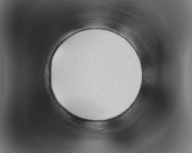 X0000089451150200706291438