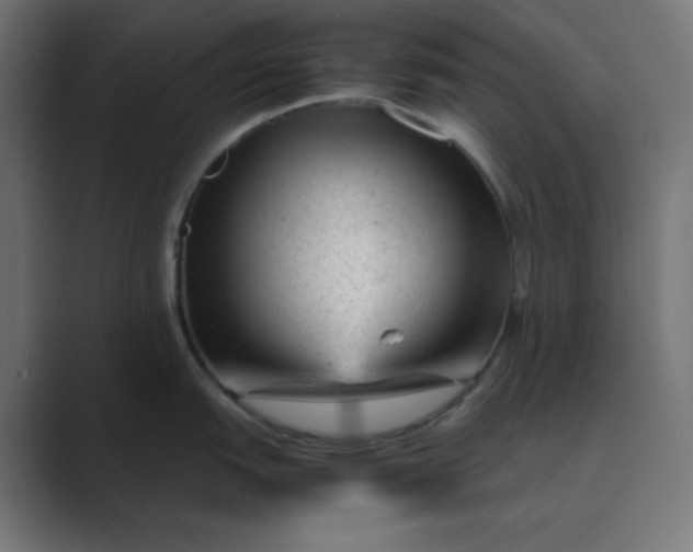 X0000089451151200706291438