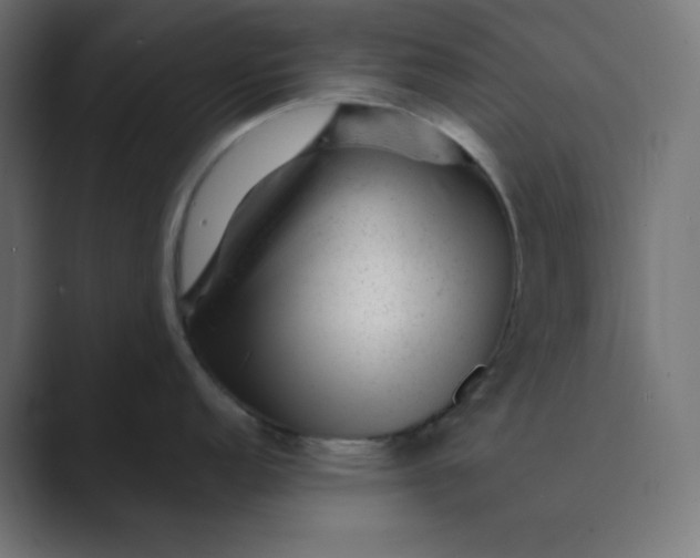X0000089451152200706291438