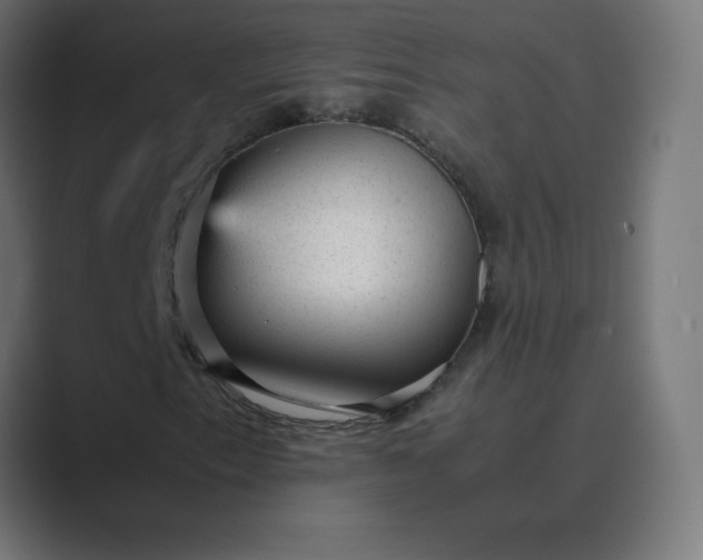 X0000089451153200706291438
