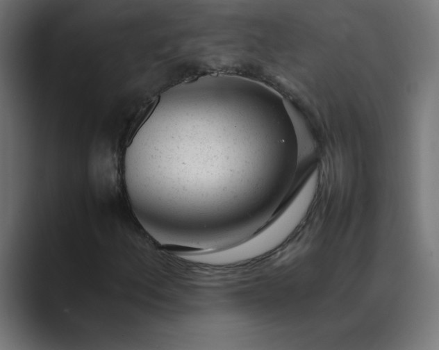 X0000089451156200706291438